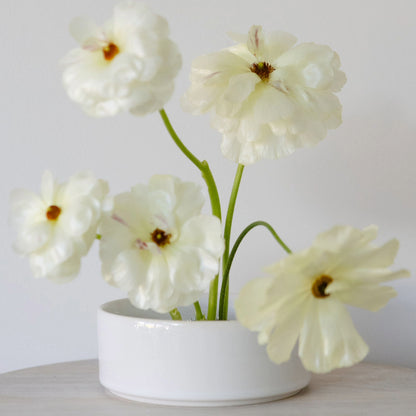 White Ceramic Bowl