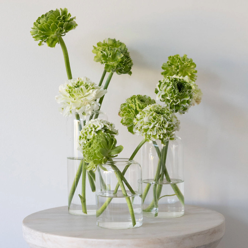 Glass Cylinder Vase - Medium