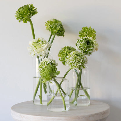 Glass Cylinder Vase - Medium