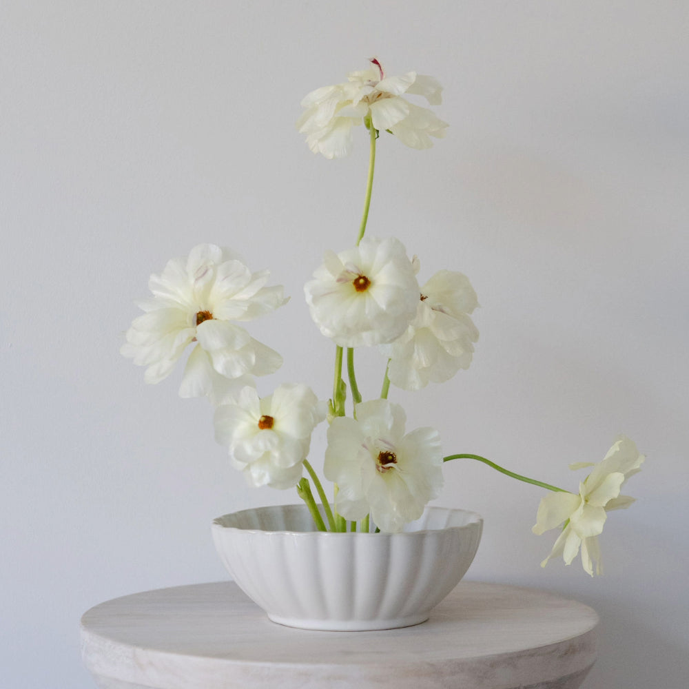 White Scalloped Ceramic Bowl