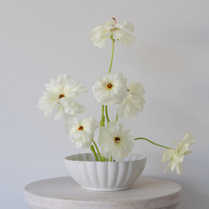 White Scalloped Ceramic Bowl