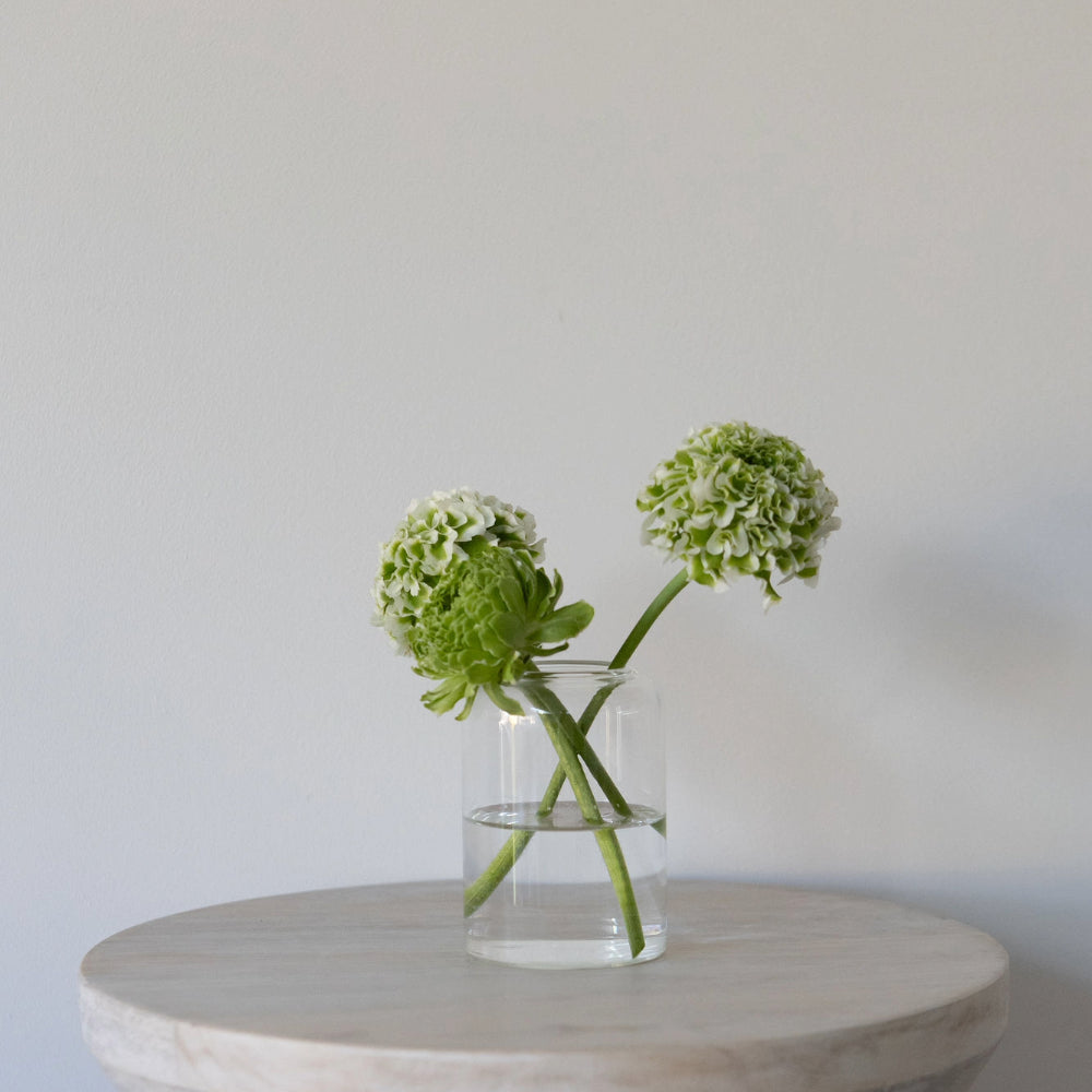 Glass Cylinder Vase - Small