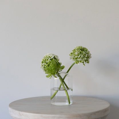 Glass Cylinder Vase - Small