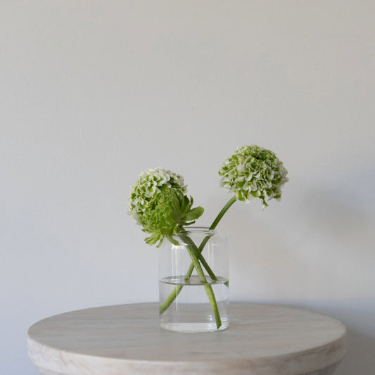 Glass Cylinder Vase - Small