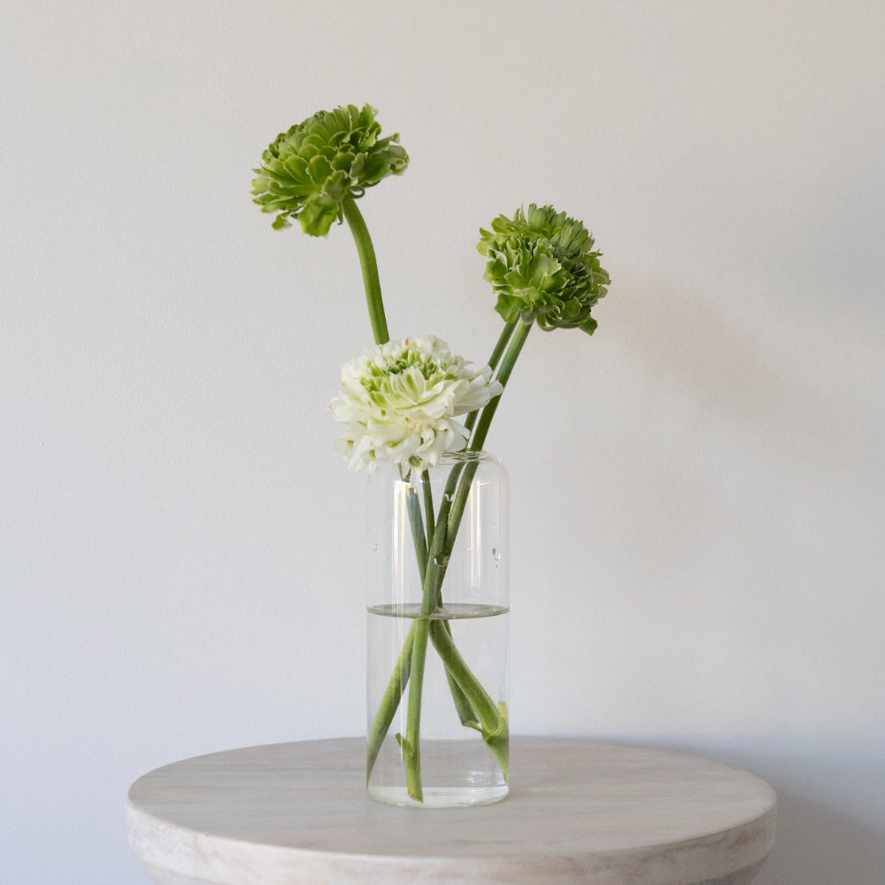 Glass Cylinder Vase - Tall