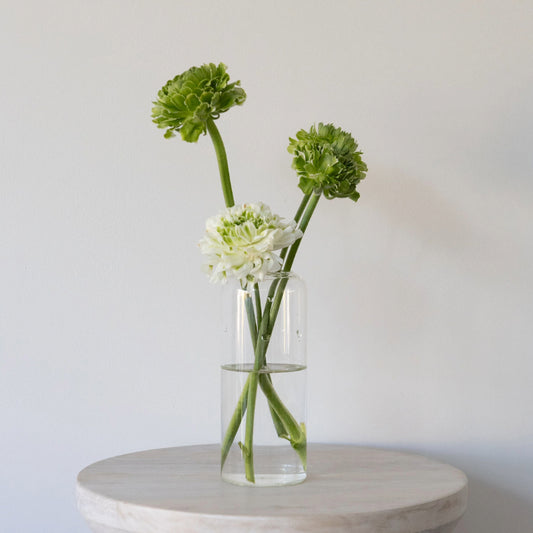 Glass Cylinder Vase - Tall