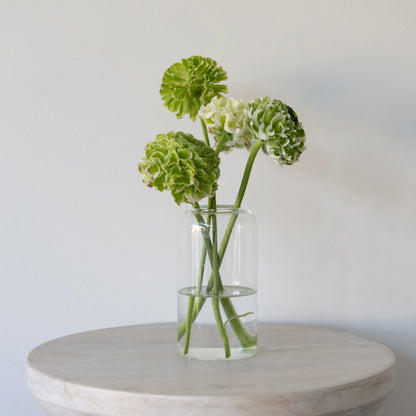 Glass Cylinder Vase - Medium