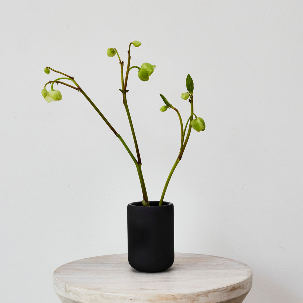 Black vase