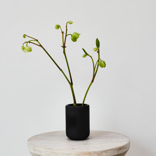 Black vase