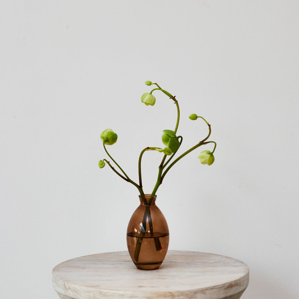 Amber Glass Bud Vase - Tall