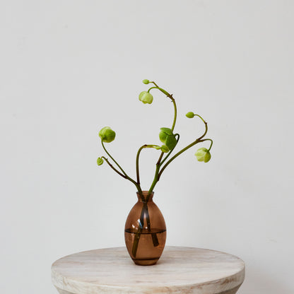 Amber Glass Bud Vase - Tall
