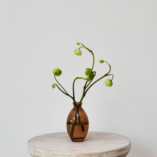 Amber Glass Bud Vase - Tall