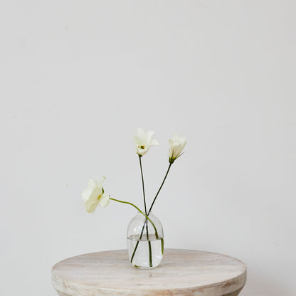 Glass Bud Vase - Med