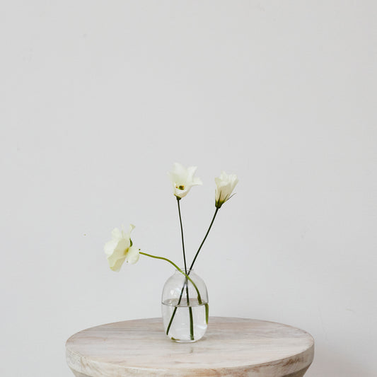 Glass Bud Vase - Med