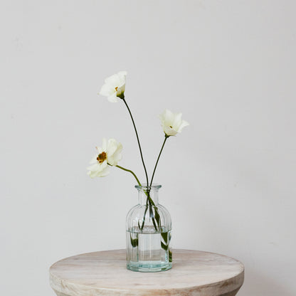 Glass Ribbed Vases