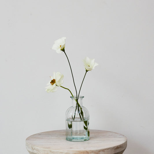 Glass Ribbed Vases