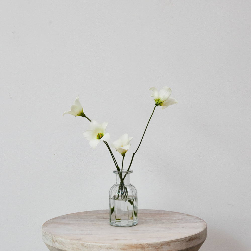 Glass Ribbed Vases