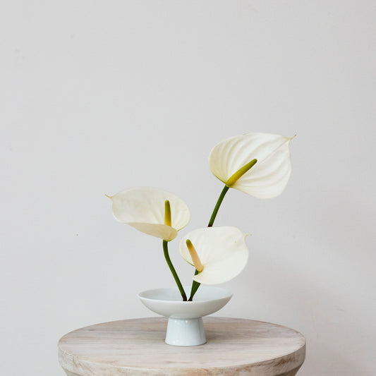 White Footed Ceramic Bowl