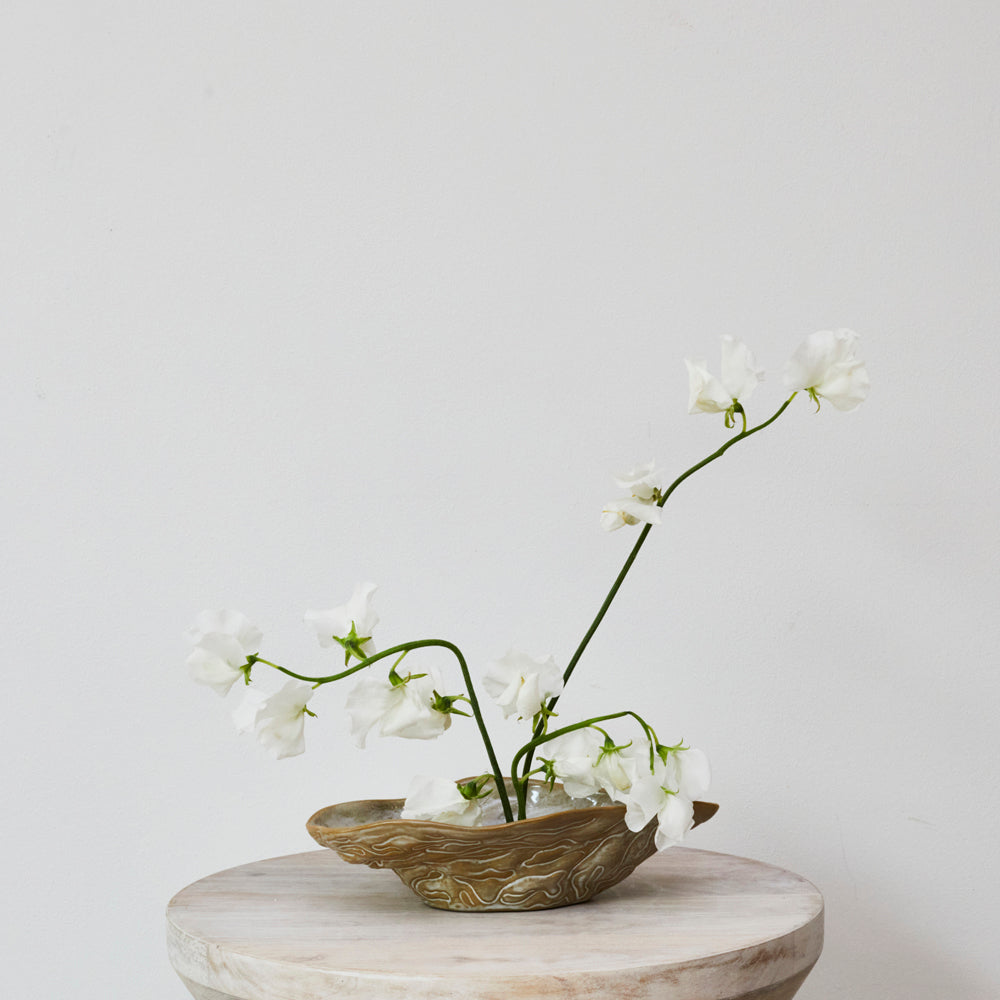 Oyster Ceramic Bowl