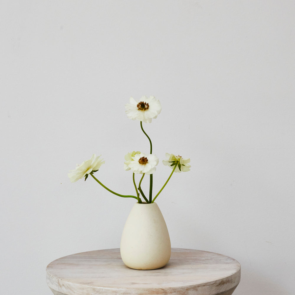 Cream Ceramic Bud Vase - Low II