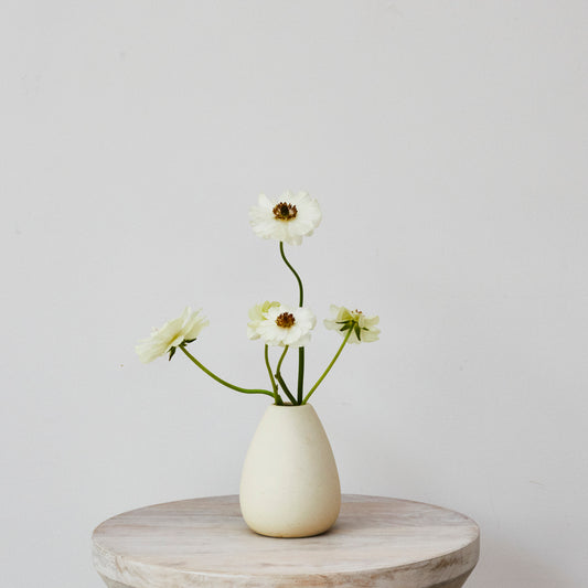 Cream Ceramic Bud Vase - Low II