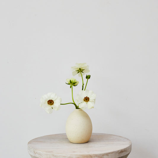 Cream Ceramic Bud Vase - Low I